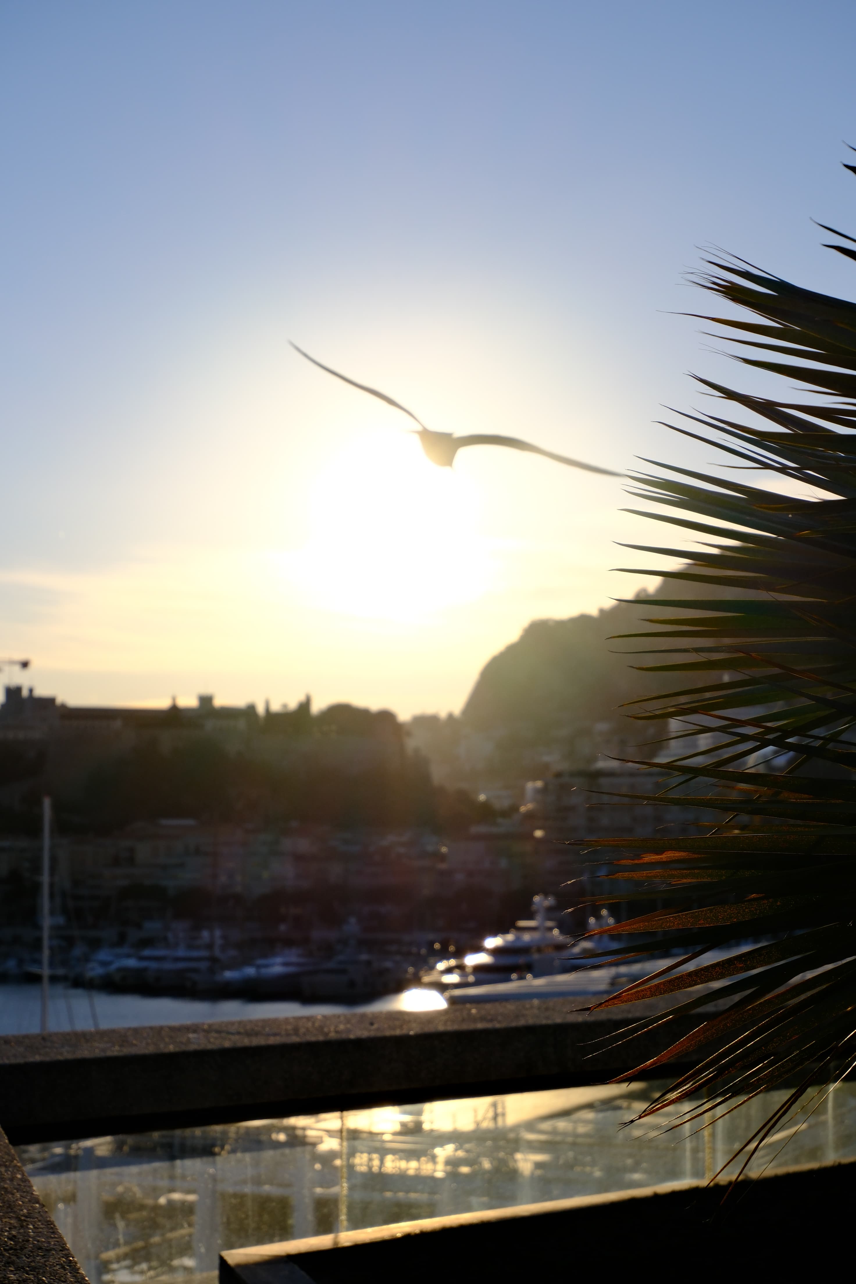 monte carlo, monaco